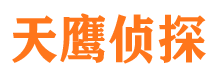 宁江市私家侦探